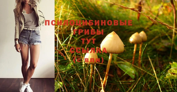 синтетический гашиш Вязьма