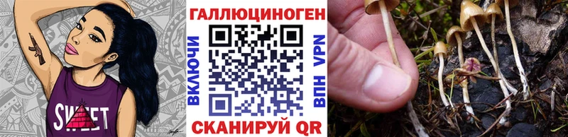 где купить наркотик Верхняя Пышма Галлюциногенные грибы мицелий